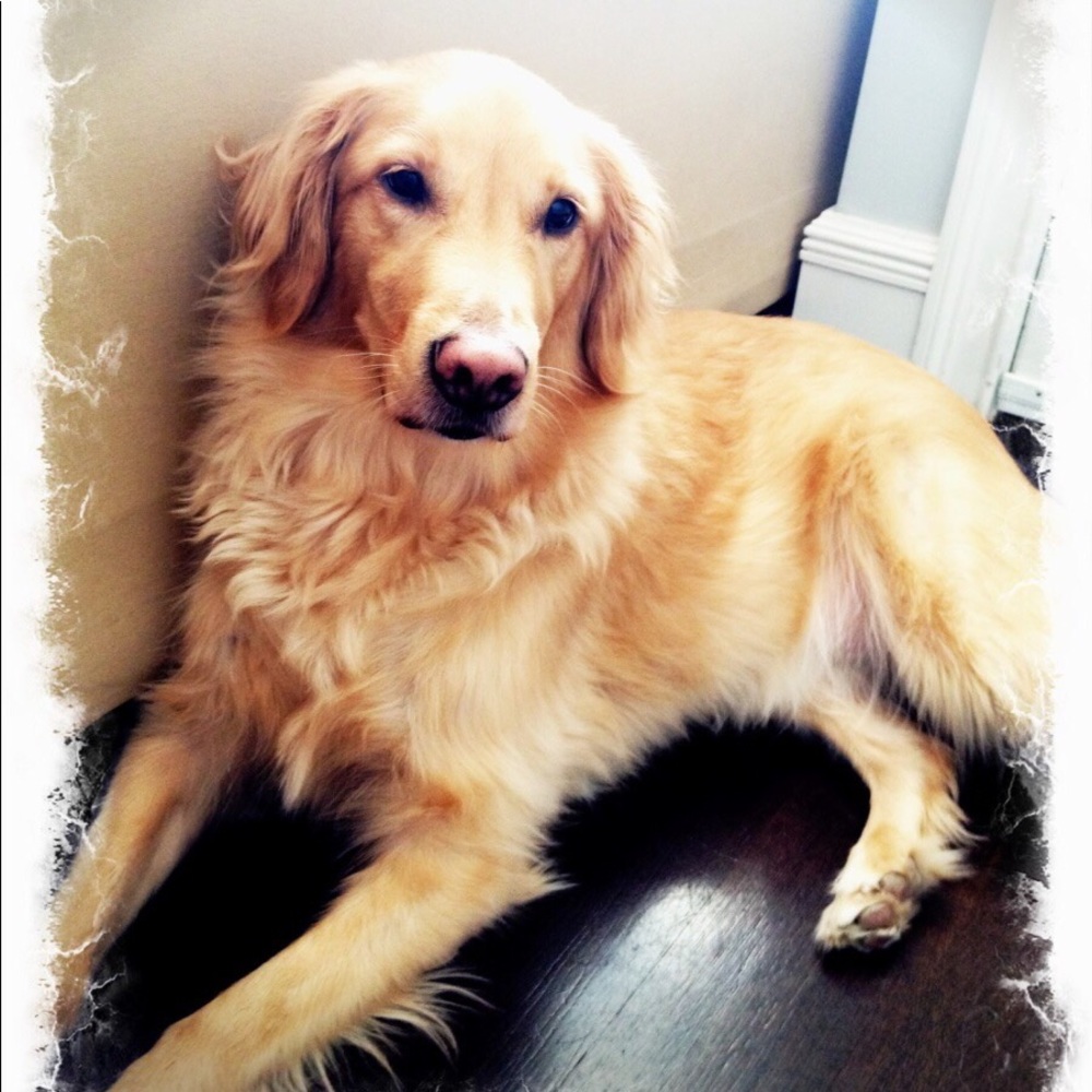 Meet your Posher, Michele